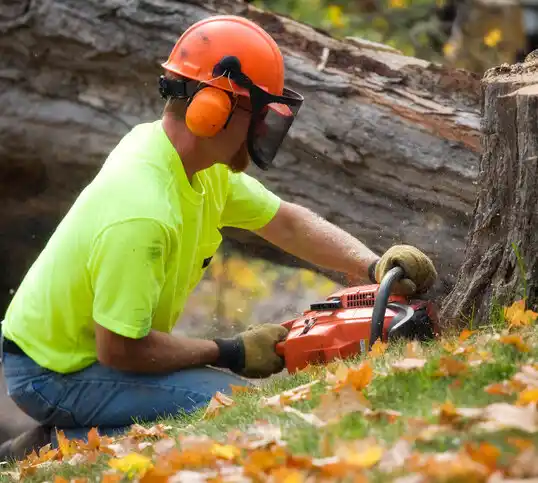 tree services Pender